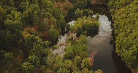 Aerial view of forest lake in Germany during summer Stock Footage 94497567
