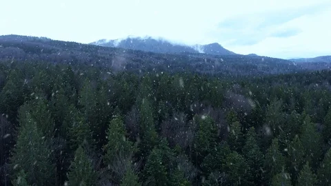 Aerial view of forest landscape during snow falling Vídeos de archivo 120808975