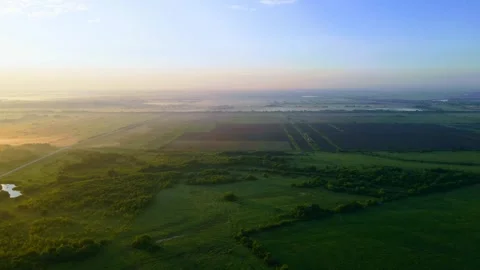 Aerial view of the forest landscape green tree crowns Stock Footage 301346484