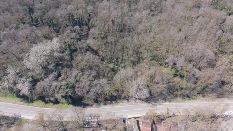 Aerial view of forest landscape with trees and natural terrain Video stock 332247189