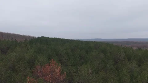 Aerial view of forest landscape under cloudy sky in early winter season Stock Footage 323320849