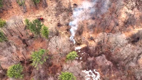 Aerial View Of Forest Landscape With White Smoke Rising From Controlled Burn In Stock Footage 332633690