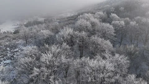 Aerial view of forest landscape, winter time with frozen white trees Stock Footage 327316699