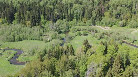 Aerial view of the forest in the middle climatic zone Stock Footage 108424032