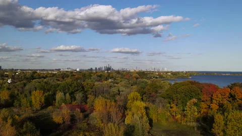 Aerial View of forest in Mississauga in fall, Canada Stock Footage 141307663