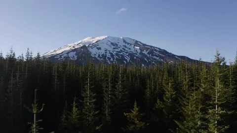 Aerial view of forest with Mount St Helens in the background Stock Footage 167107314