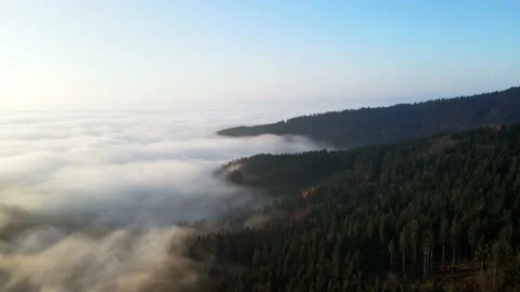 Aerial View of the Forest Mountain Above Clouds, Czech Republic Stock Footage 169591604