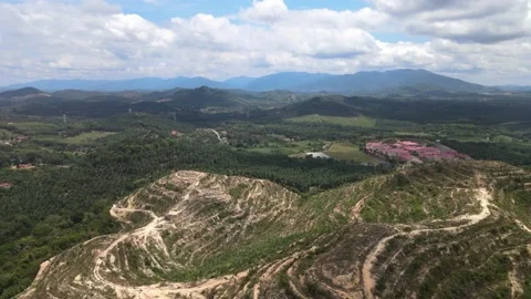 Aerial view of forest, mountain and oil palm plantation in Alor Gajah, Malacca Stock Footage 151191331