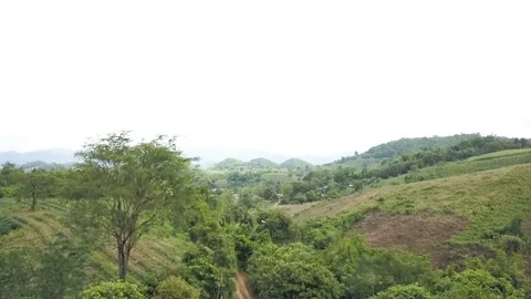 Aerial view of forest on mountain high at rural countryside Stock Footage 100874469