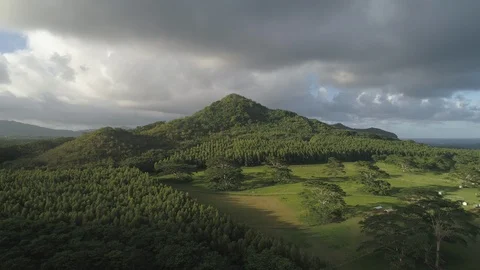 Aerial View of Forest Mountain with Open Field in Kauai, Hawaii Stock Footage 125818985