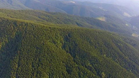 Aerial View: forest on mountain ridges Stock Footage 80005722