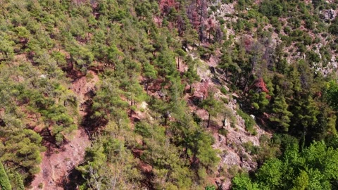 Aerial View of Forest on Mountain, shot in Greece 스톡 동영상 158333117