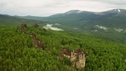 Aerial View of Forest With Mountains in Background Stock Footage 272443529