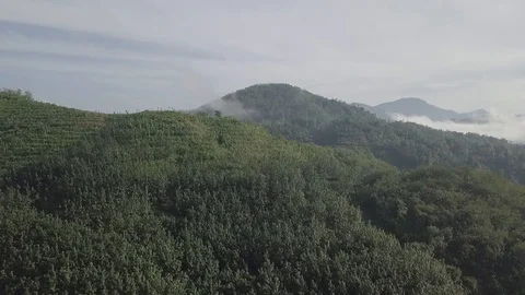 Aerial View Of Forest Mountains, Clouds, Sri Lanka At Sunset Stock Footage 86704771