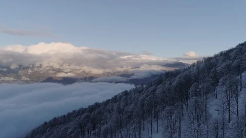 Aerial view of the forest in mountains. Clouds at the background Stock Footage 103476377