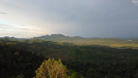 Aerial view of forest mountains during golden sunset Stock Footage 252700802