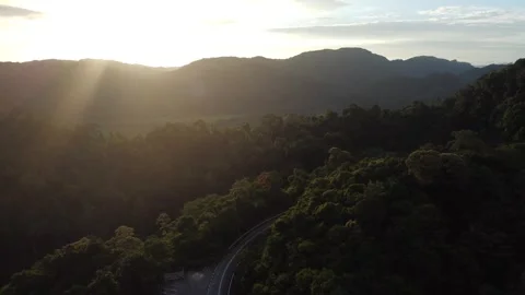 Aerial view of forest mountains during golden sunset Stock Footage 252701126