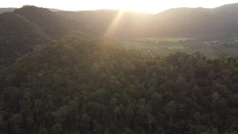 Aerial view of forest mountains during golden sunset Stock Footage 252701544