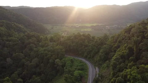 Aerial view of forest mountains during golden sunset Stock Footage 252701791