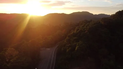 Aerial view of forest mountains during golden sunset Stock Footage 252702679