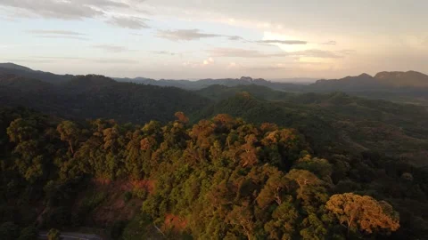Aerial view of forest mountains during golden sunset Stock Footage 252703078