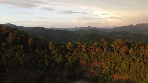 Aerial view of forest mountains during golden sunset Stock Footage 252703740