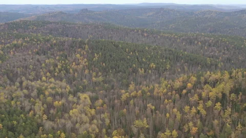 Aerial view of the forest in the mountains. Stock Footage 121922293