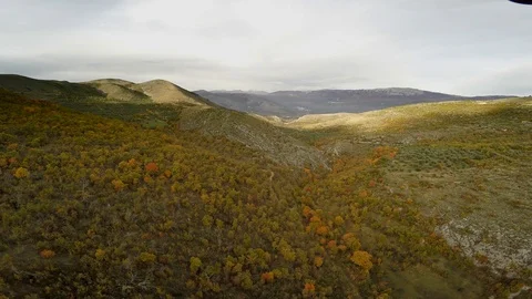 Aerial view forest in the mountains Stock Footage 126337166