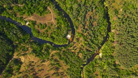 Aerial view of the forest with the Orel river and lakes Video stock 180967149