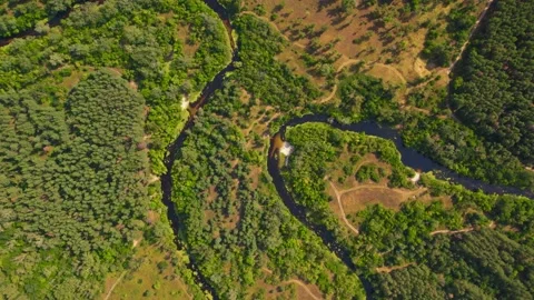 Aerial view of the forest with the Orel river and lakes Video stock 180967155
