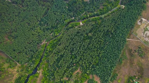 Aerial view of the forest with the Orel river and lakes Video stock 180975074
