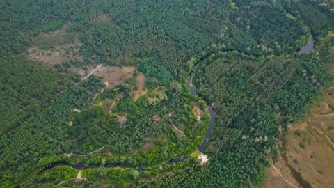 Aerial view of the forest with the Orel river and lakes Video stock 180976238