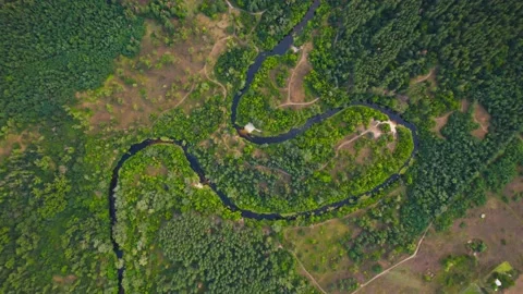 Aerial view of the forest with the Orel river and lakes Video stock 180976240
