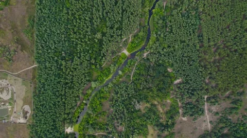 Aerial view of the forest with the Orel river and lakes Video stock 180976658
