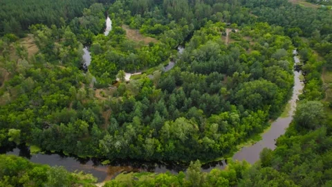 Aerial view of the forest with the Orel river and lakes Video stock 180976825
