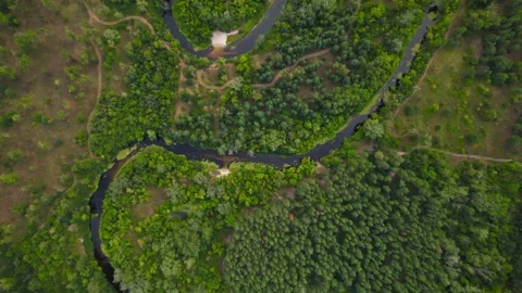 Aerial view of the forest with the Orel river and lakes Video stock 180976847