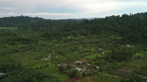 Aerial view of a forest in Papua with sparse resident houses Stock Footage 239509189