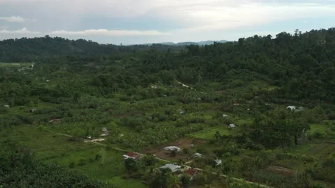 Aerial view of a forest in Papua with sparse resident houses Stock Footage 239509366
