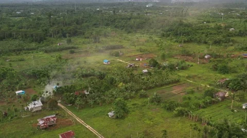 Aerial view of a forest in Papua with sparse resident houses Stock Footage 239510094