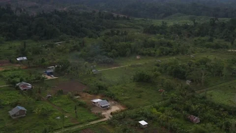 Aerial view of a forest in Papua with sparse resident houses Stock Footage 239519392