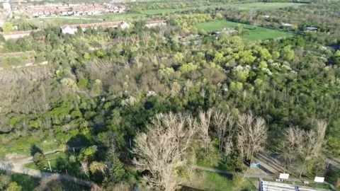 Aerial View of Forest Park and Residential Area with Water – Drone Footage 4K Video stock 332565639