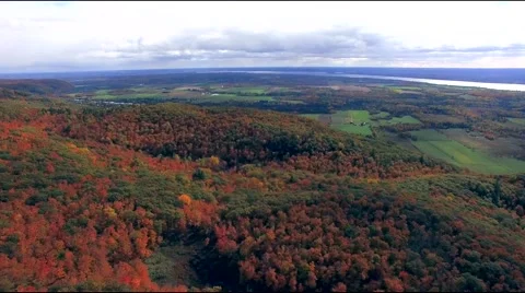 Aerial view of forest Park in fall autumn with beautiful colours Stock Footage 56206448
