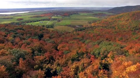 Aerial view of forest Park in fall with beautiful colours. Stock Footage 56206761