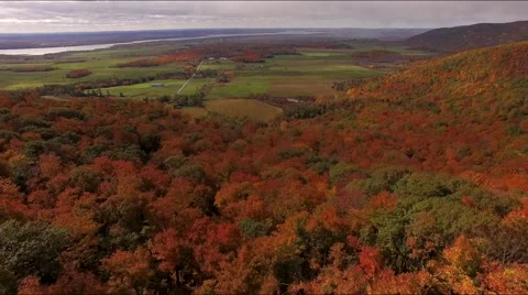 Aerial view of forest Park in fall autumn with beautiful colours. Stock Footage 56206960