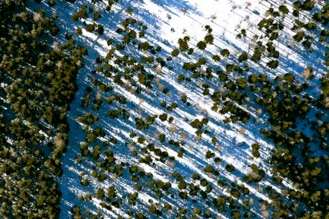Aerial view forest Stock Photos