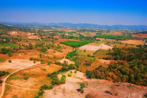 Aerial view of the forest Stock Photos