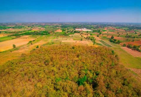 Aerial view of the forest Stock Photos
