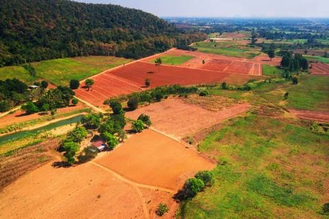 Aerial view of the forest Stock Photos