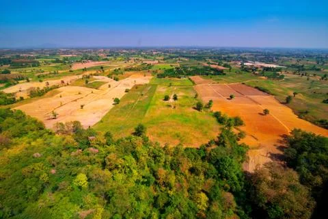 Aerial view of the forest Stock Photos
