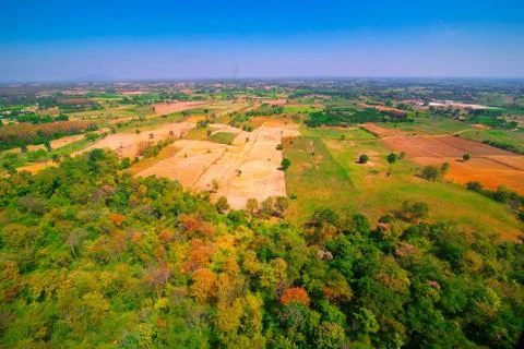 Aerial view of the forest Stock Photos
